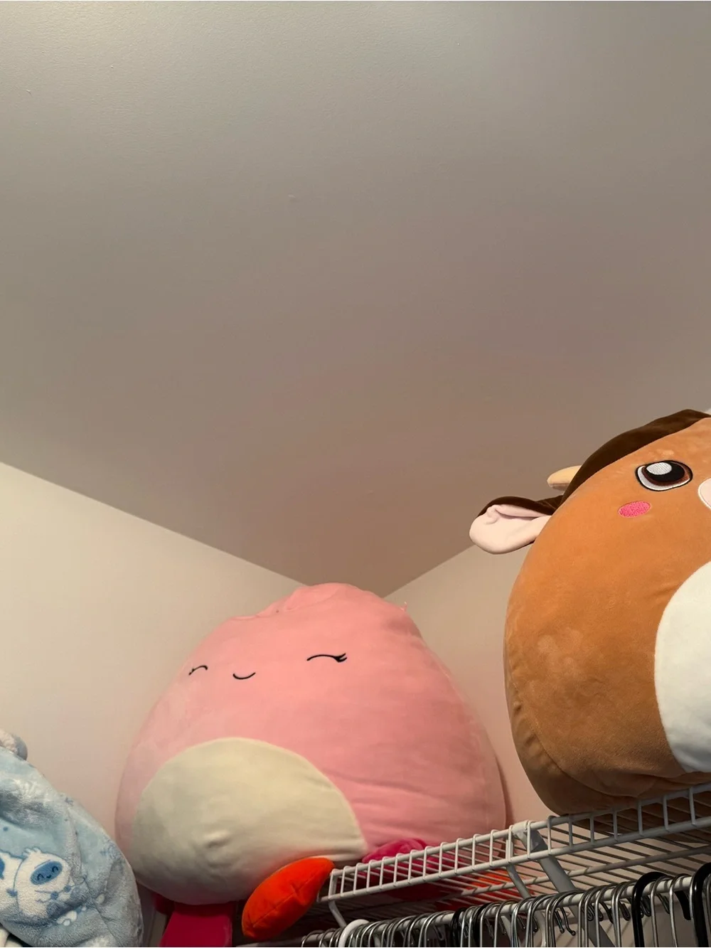 Squishmallows Plush Collection